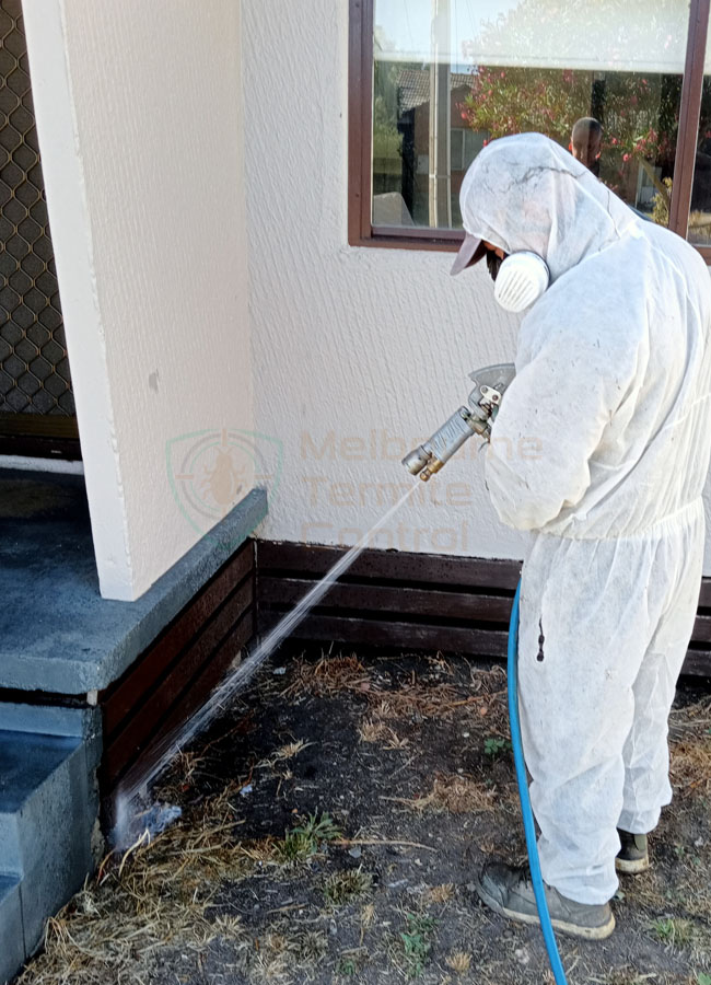 new construction termite treatment cost in melbourne