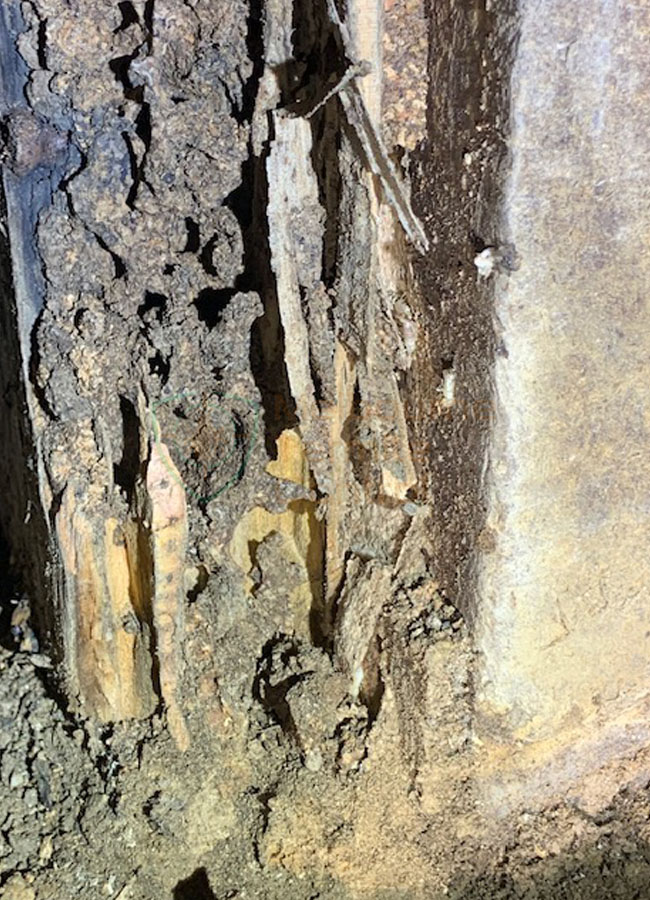 termite reticulation system refill cost in melbourne